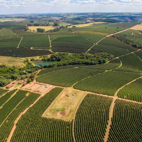 Bom Jesus - Brazil Specialty coffee