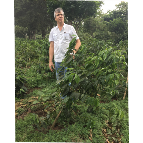 EL Salvador - Finca La Providencia Specialty Coffee