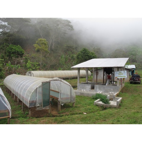 Honduras San Vicente SHG - Honduras Specialty Coffee - Image 2