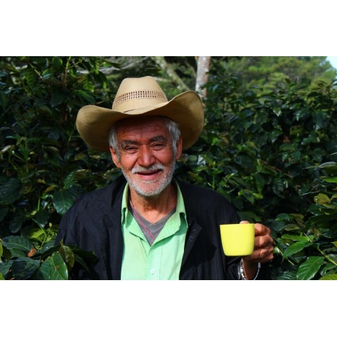 Honduras San Vicente SHG - Honduras Specialty Coffee