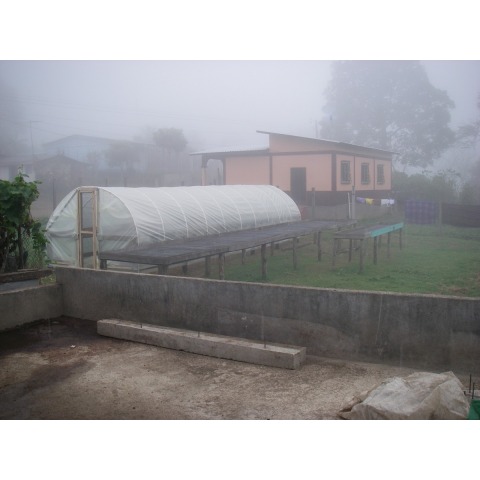 Honduras San Vicente SHG - Honduras Specialty Coffee - Image 3