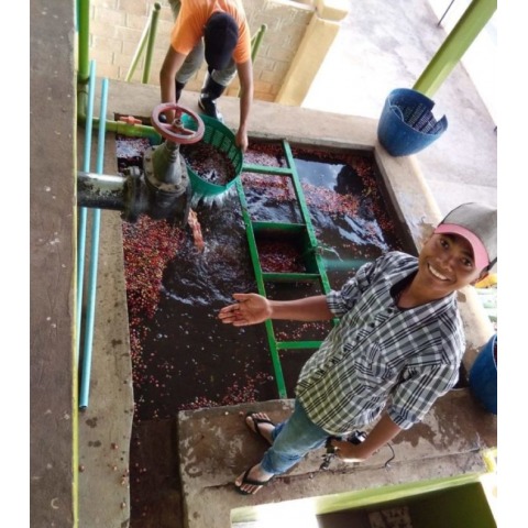 Myanmar Ywangan Specialty Coffee - Sithar Coffee Co