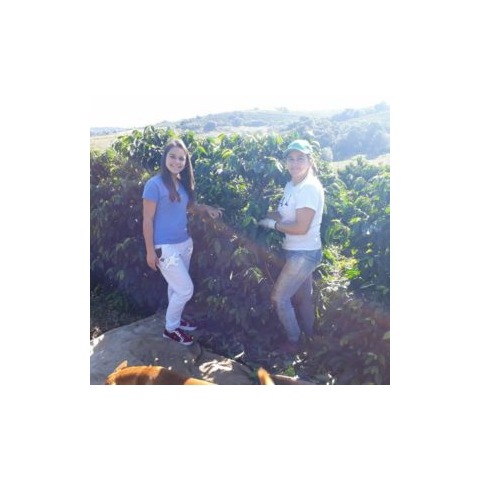 Sitio Sao Samuel - Flowers in Action - APAS Coffee