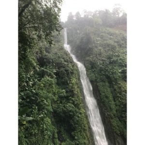 Guatemala El Vergel - High End Organic Coffee - 1Kg