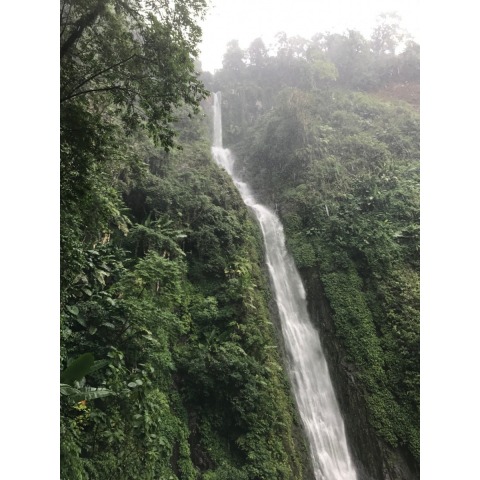 Guatemala El Vergel - High End Organic Coffee