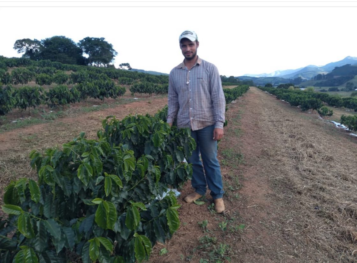 Rafael Santana -Sitio San Jose Microlot