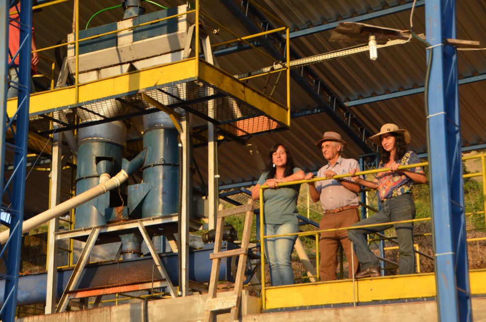 Pedra Preta Farm - Brazil Specialty Coffee - Image 3