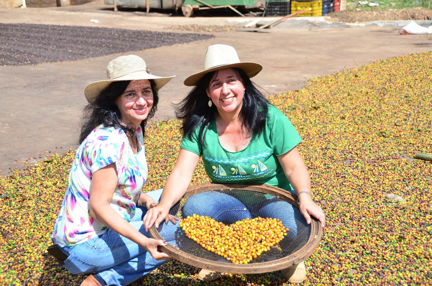 Pedra Preta Farm - Brazil Specialty Coffee