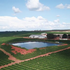 Brazil Farroupilhla Farm